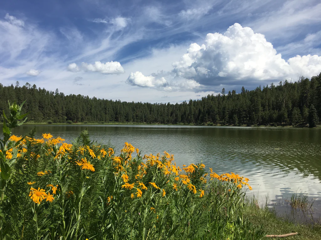 White Mountains landscape